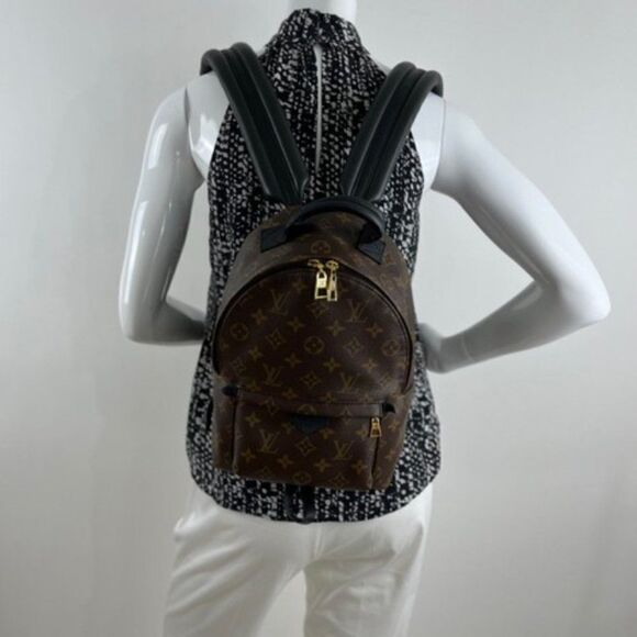 Louis Vuitton Monogram Palm Springs Backpack PM - Picture 3 of 13